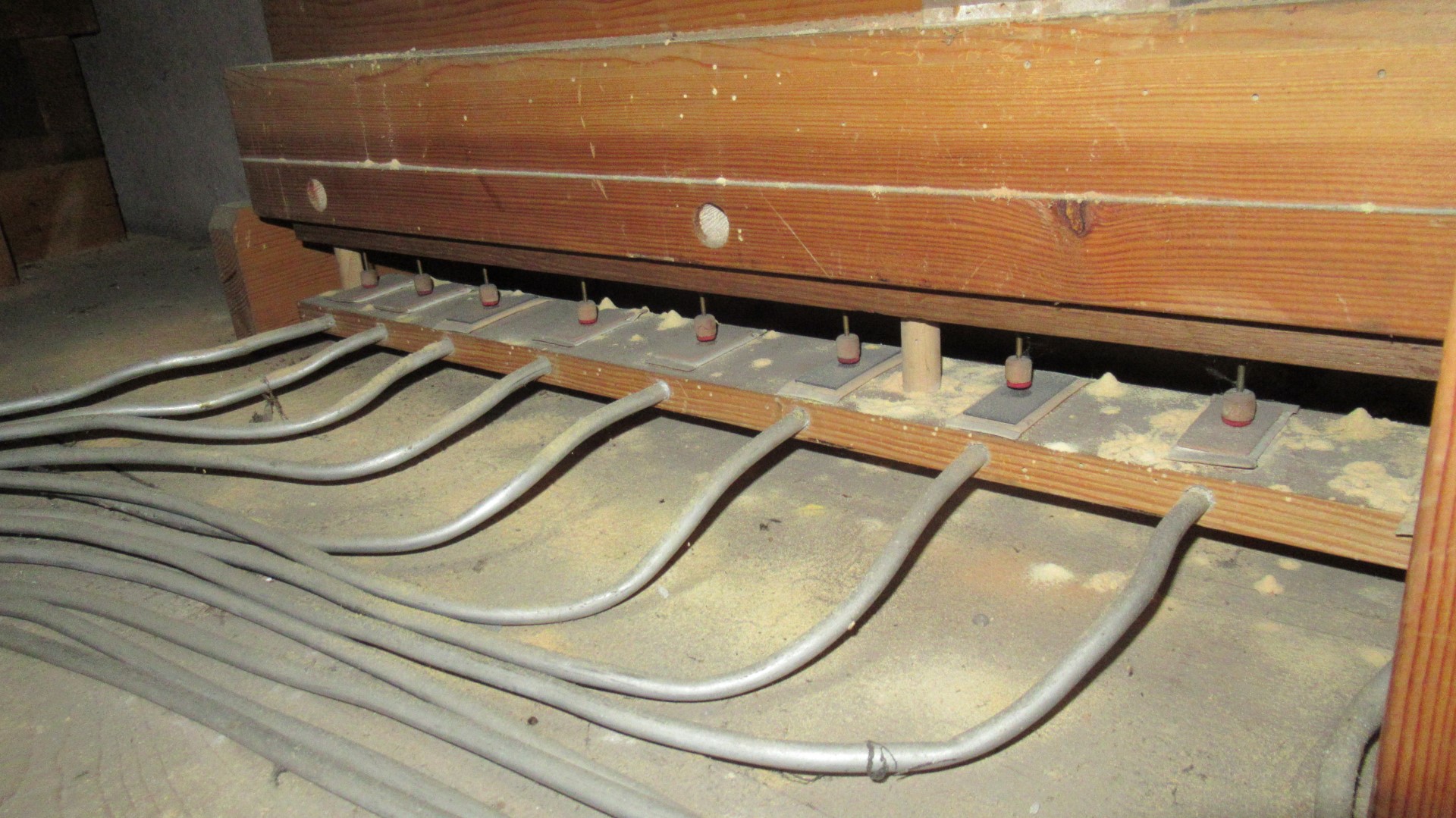 Schimmelbefall in der Orgel