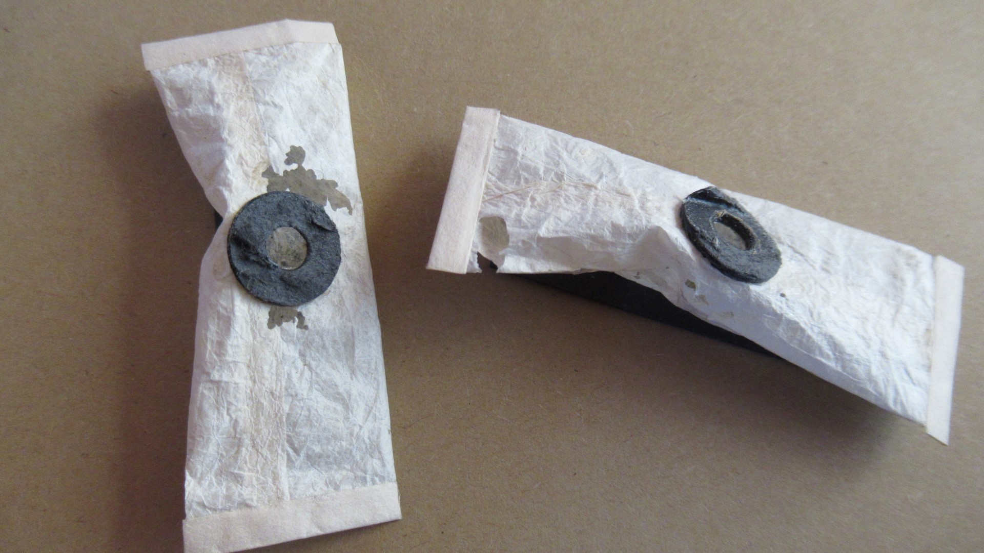 Schimmelbefall in der Orgel