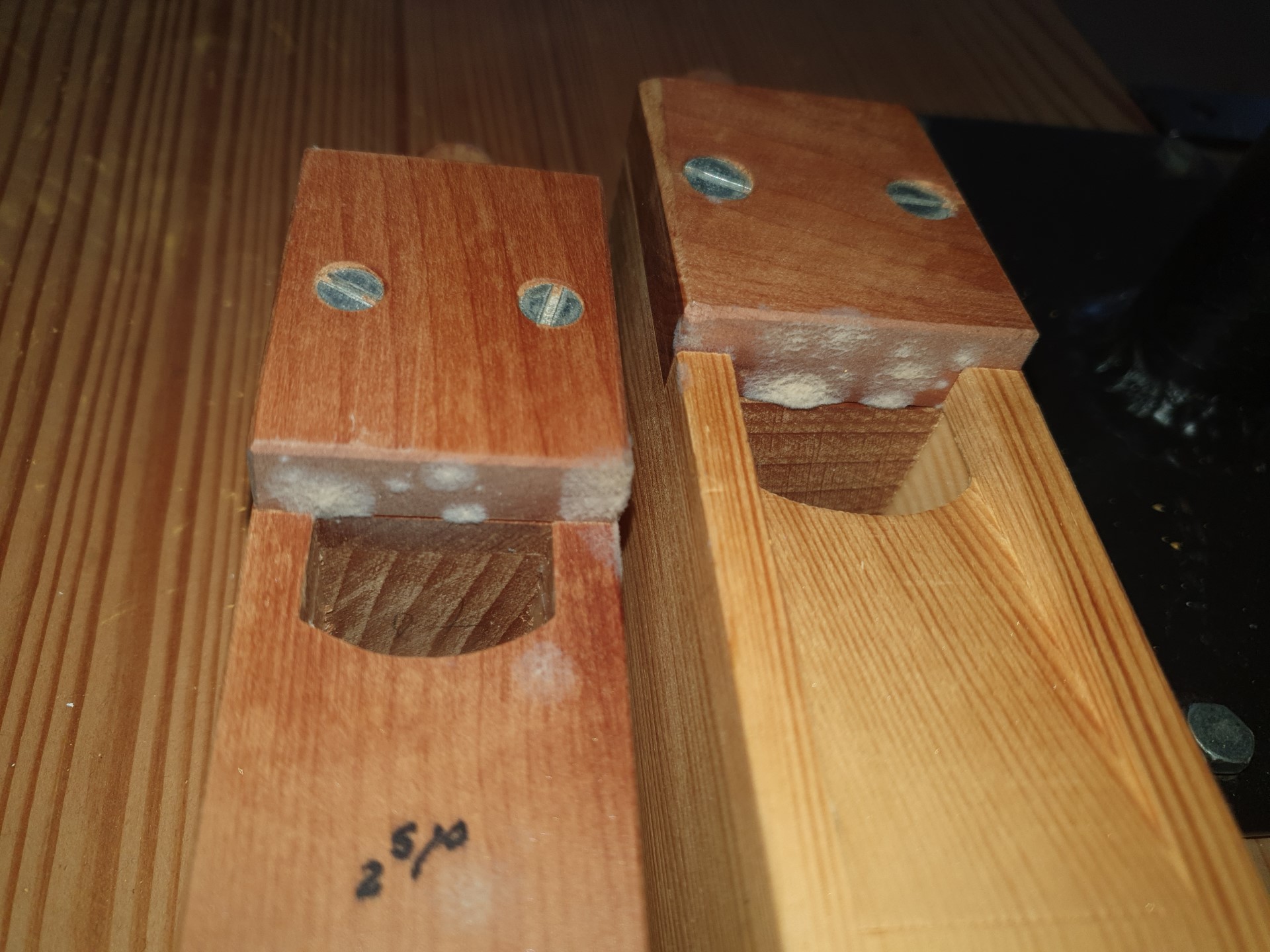 Schimmel in der Orgel