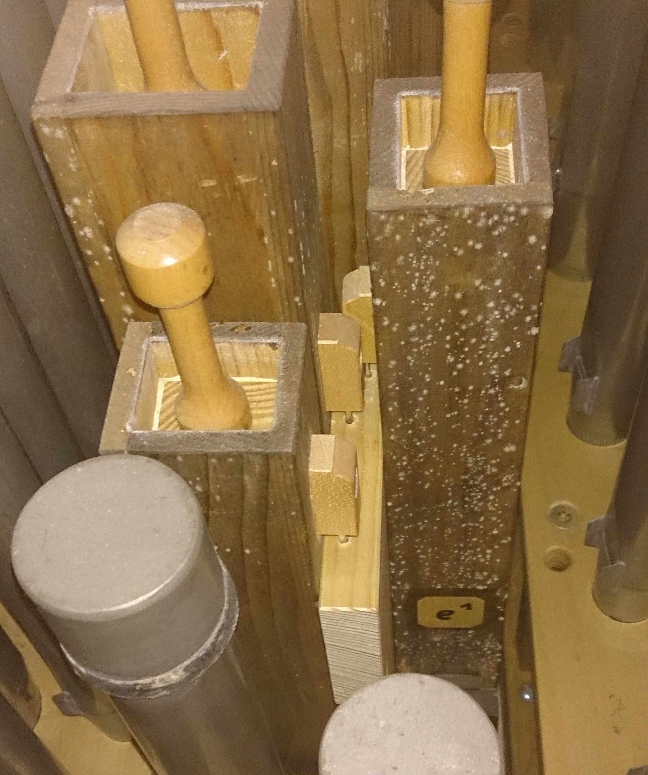 Schimmelbefall in der Orgel