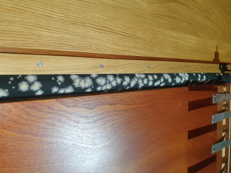 Schimmel in der Orgel